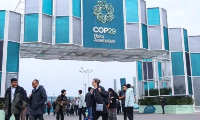 IMG-20241112-WA0044-1024x742-1-1000x600