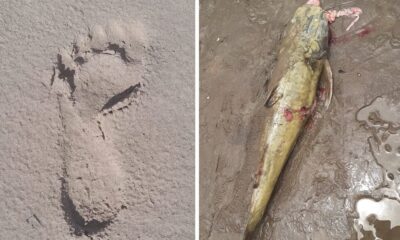 INDIOS-963×600 INDIOS-963x600