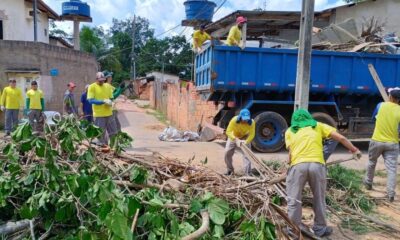 Imagem22-e1731415761381