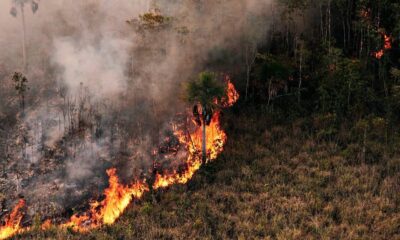 IncendioFlorestal_fotoPrevfogoIbama-1000x600