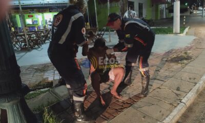 WhatsApp Image 2024-11-04 at 11.34.41 WhatsApp Image 2024-11-04 at 11.34.41