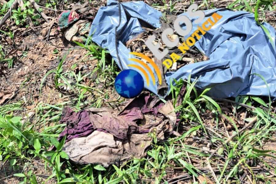 WhatsApp Image 2024-11-05 at 17.07.45