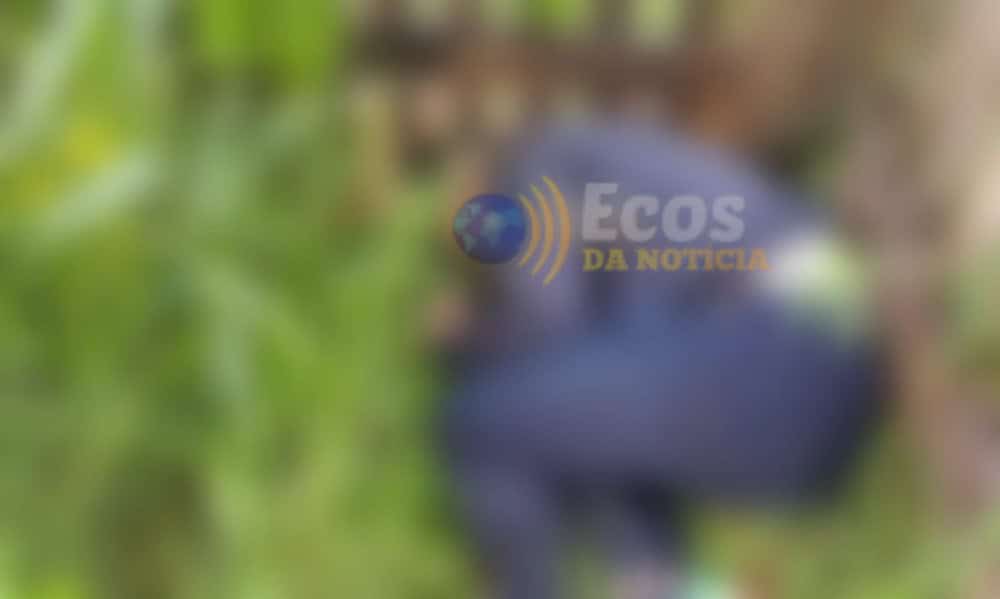 WhatsApp Image 2024-11-12 at 15.16.10