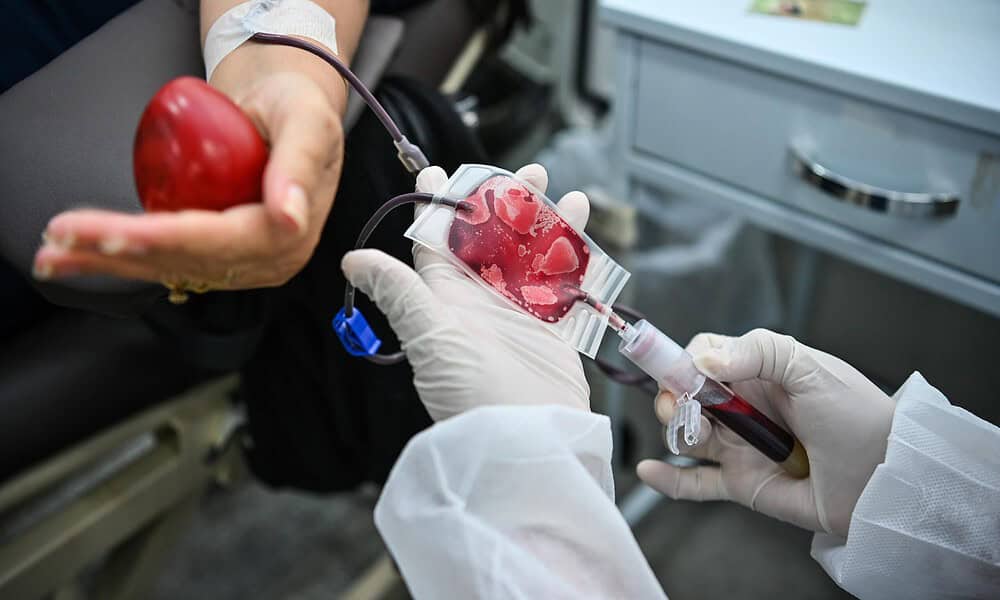 No Dia Nacional do Doador de Sangue, veja a importância de um simples ato capaz de salvar vidas. Foto: Felipe Freire/Secom