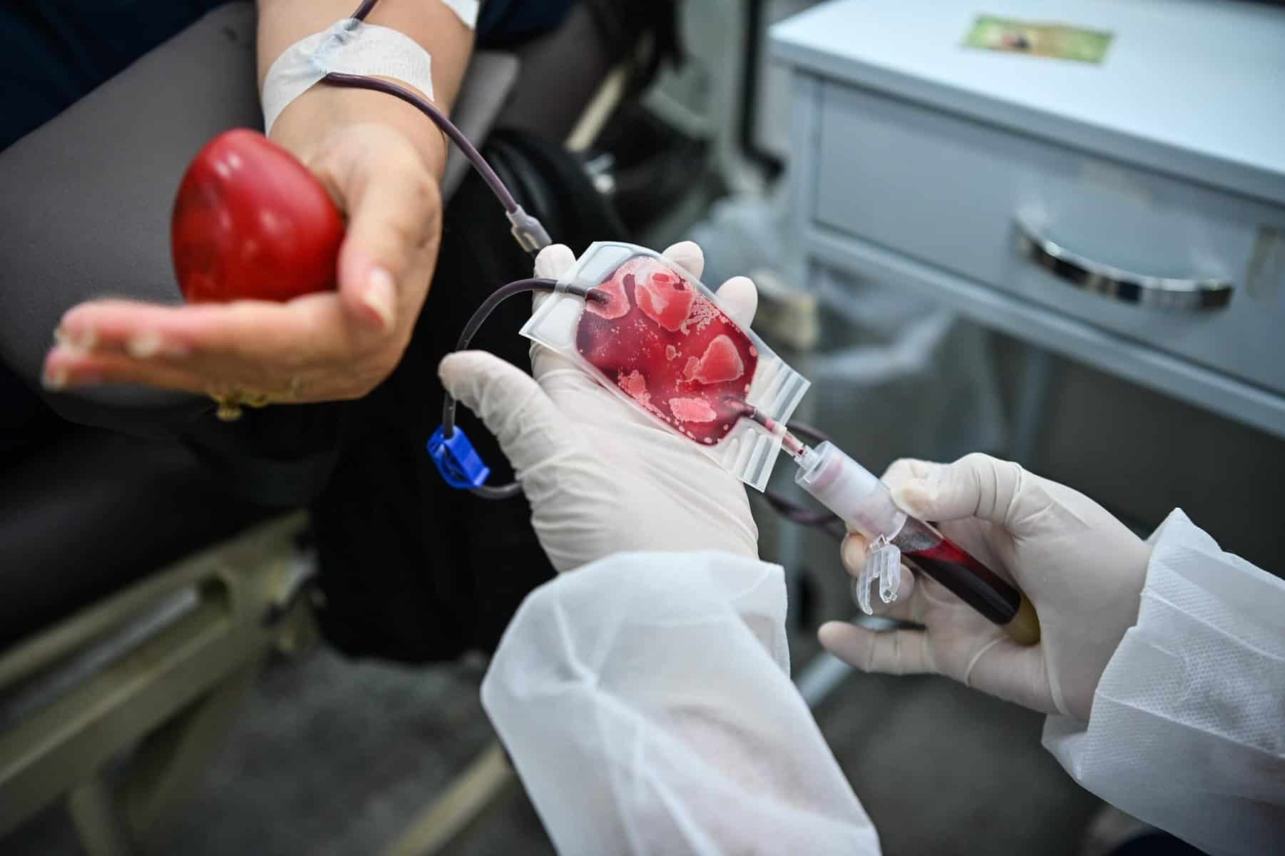 No Dia Nacional do Doador de Sangue, veja a importância de um simples ato capaz de salvar vidas