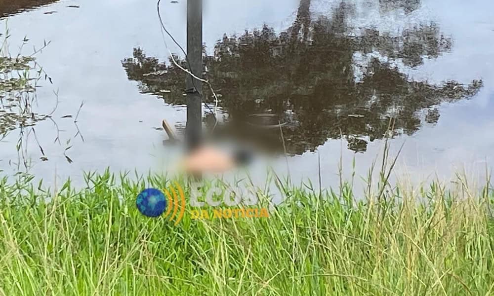 WhatsApp Image 2024-11-19 at 15.24.43 WhatsApp Image 2024-11-19 at 15.24.43