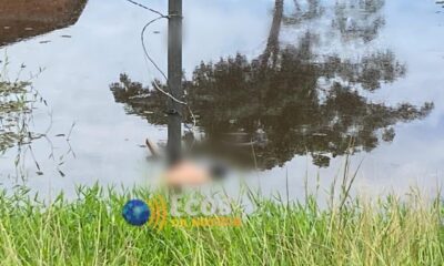 WhatsApp Image 2024-11-19 at 15.24.43 WhatsApp Image 2024-11-19 at 15.24.43