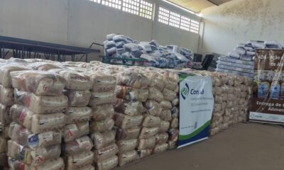 WhatsApp-Image-2024-11-26-at-06.44.50 WhatsApp-Image-2024-11-26-at-06.44.50