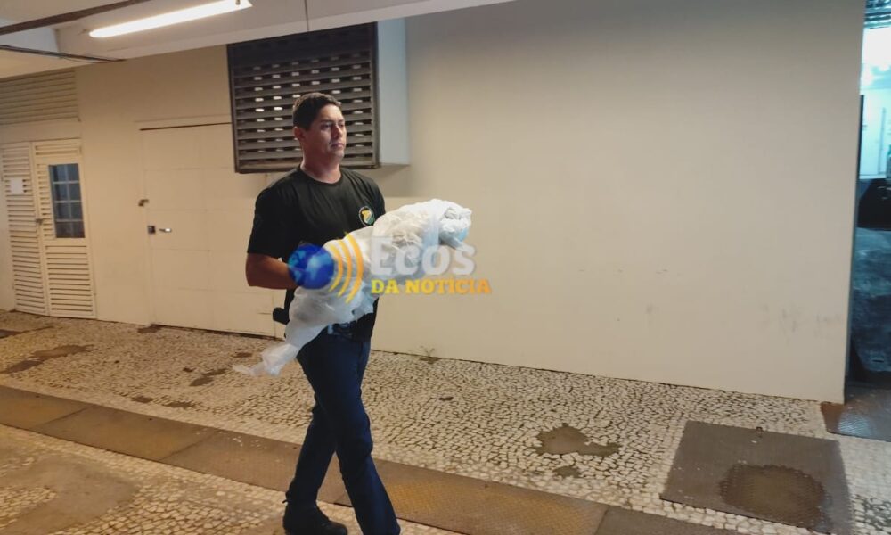 WhatsApp Image 2024-11-29 at 07.45.44