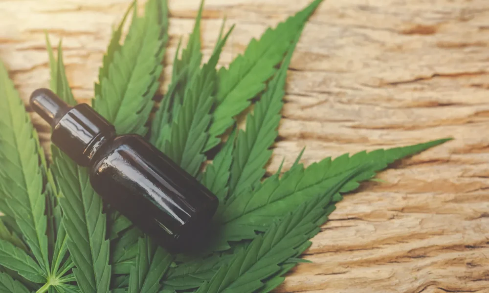 A cannabis medicinal é um produto obtido pela extração dos canabinoides, substâncias presentes na Cannabis sativa • jcomp/Freepik