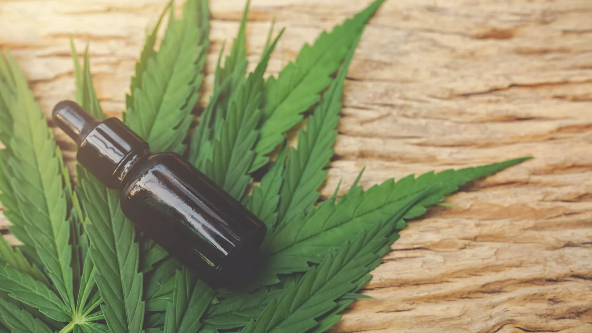 STJ julga cultivo de cannabis medicinal no Brasil; entenda qual é a discussão