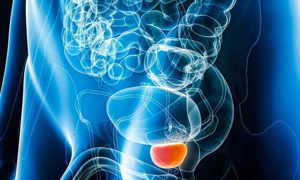 cm-exame-de-prostata-interno11