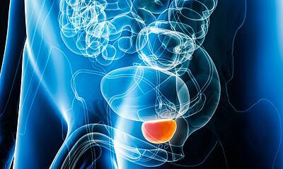 cm-exame-de-prostata-interno11