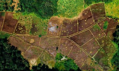 e281ab23-505e-4703-bbf9-cea031371605 e281ab23-505e-4703-bbf9-cea031371605