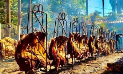 Imagem da Internet/reprodução