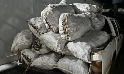 image_6483441-16-1000×600 image_6483441-16-1000x600