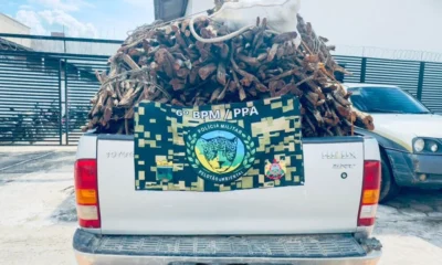 image_6483441-40-1000×600 image_6483441-40-1000x600