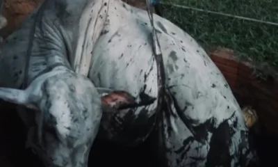 image_6487327-52-e1730747948143-921x600