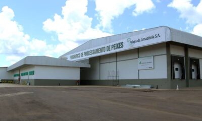 peixes_19_04_2016_angela_peres-28-1000x600 (1)