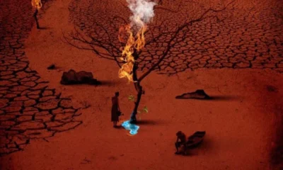 3ccef529-2d56-404e-b1c8-fb14fc9b6fe4-1000x600