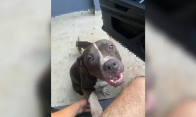 Caso ocorreu na noite da véspera de Natal, em Porto Velho (RO). • Arquivo pessoal