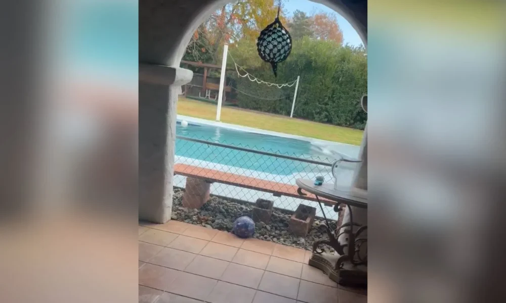 Vídeo mostra momento do terremoto magnitude 7 na cidade de Chico, na Califórnia • Sultana Sarita