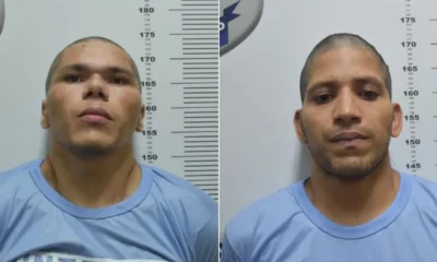 Frame-183-5-976x600-1