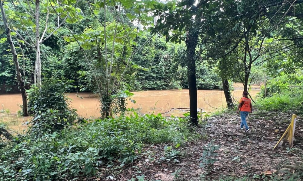 Imagem-do-WhatsApp-de-2024-12-26-as-17.16.37_f9d8c94e Imagem-do-WhatsApp-de-2024-12-26-as-17.16.37_f9d8c94e