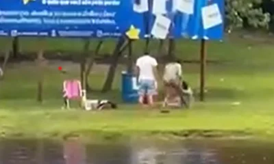 PEIA-IGRAPE PEIA-IGRAPE