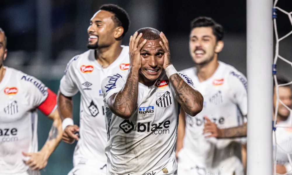 Santos conquistou o título da Série B deste ano • Raul Baretta / Santos FC