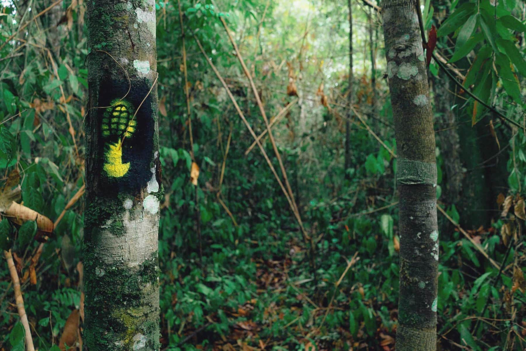 ‘Vem pro Acre’: Secretaria de Turismo lança série de vídeos sobre destinos turísticos no estado