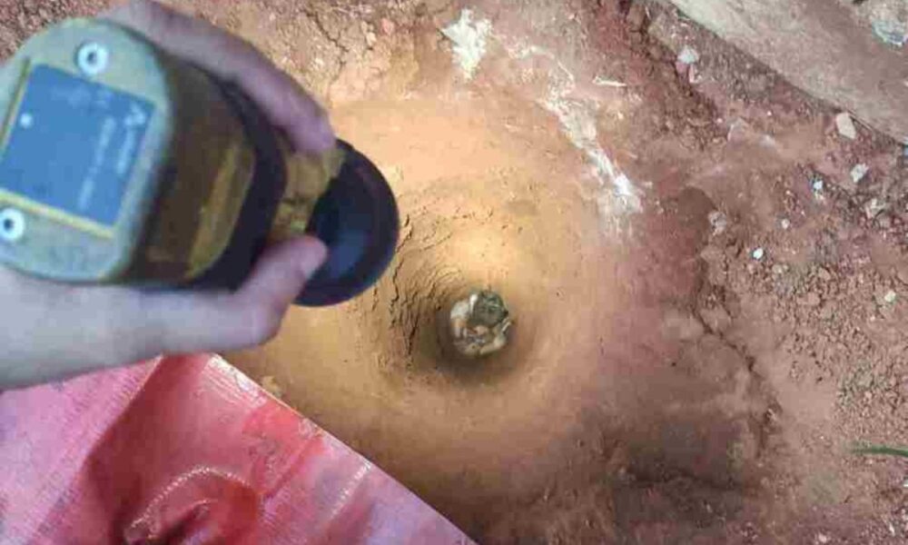 WhatsApp Image 2024-12-03 at 09.48.14