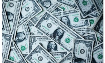 WhatsApp Image 2024-12-05 at 09.25.09 (1)