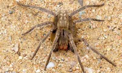 WhatsApp Image 2024-12-05 at 17.07.53