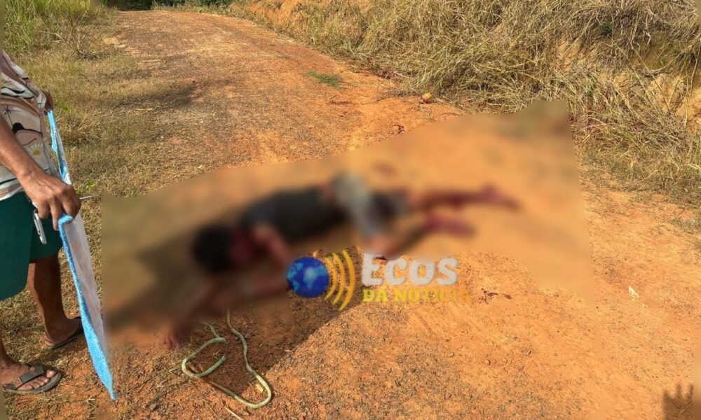 WhatsApp Image 2024-12-05 at 19.42.10 WhatsApp Image 2024-12-05 at 19.42.10