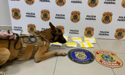 WhatsApp Image 2024-12-14 at 12.04.11