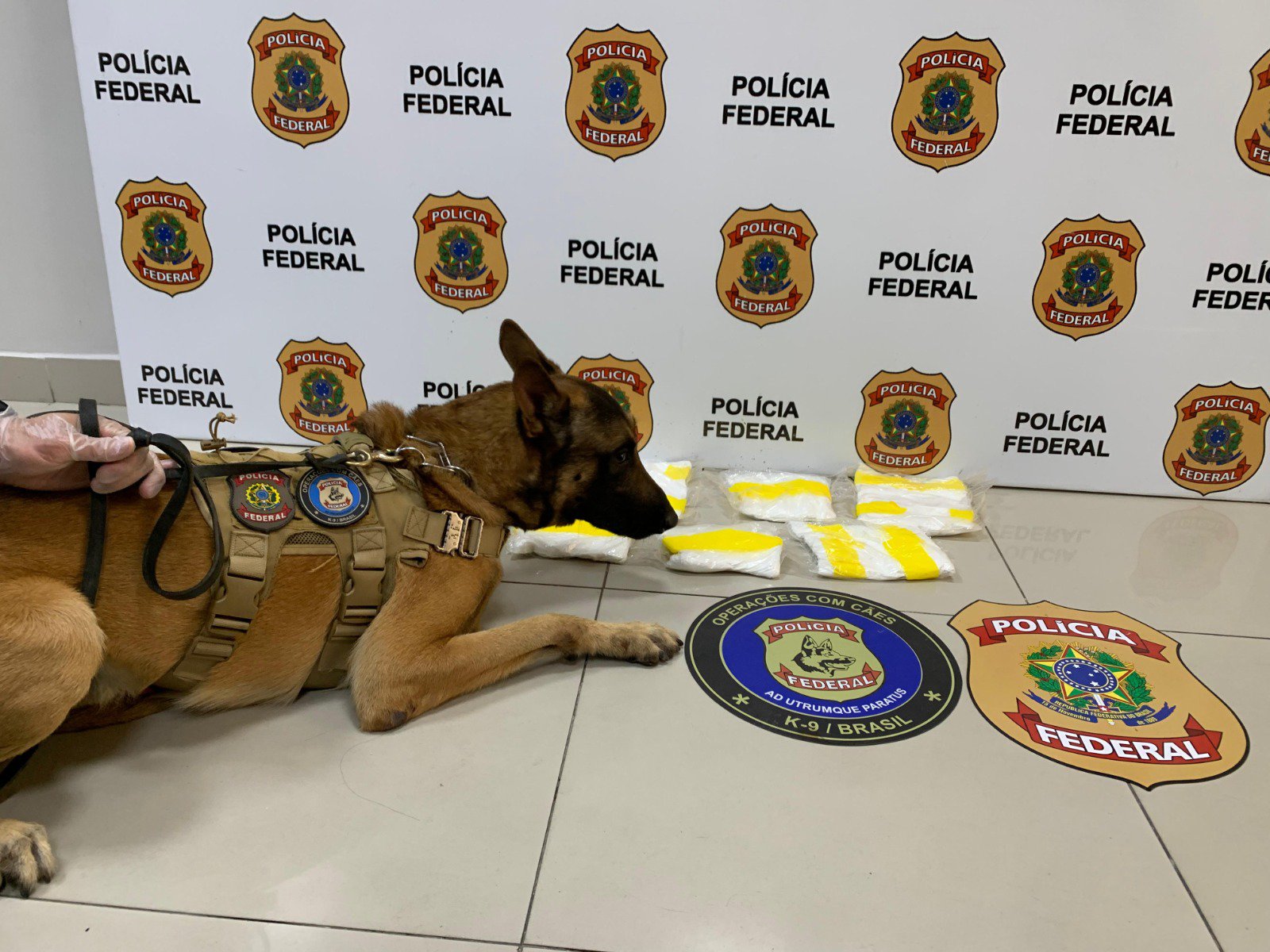 Polícia Civil do Acre e PF realizam operação conjunta e prendem mulher com cocaína em Fortaleza