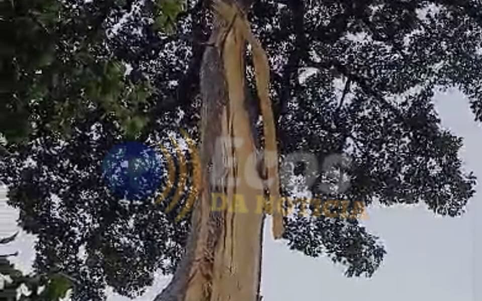 WhatsApp Image 2024-12-14 at 12.16.24 WhatsApp Image 2024-12-14 at 12.16.24