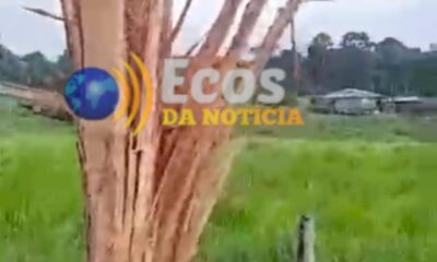 WhatsApp Image 2024-12-15 at 19.00.59 WhatsApp Image 2024-12-15 at 19.00.59