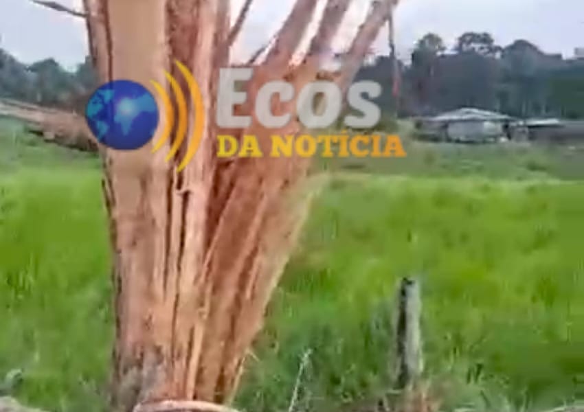 WhatsApp Image 2024-12-15 at 19.00.59