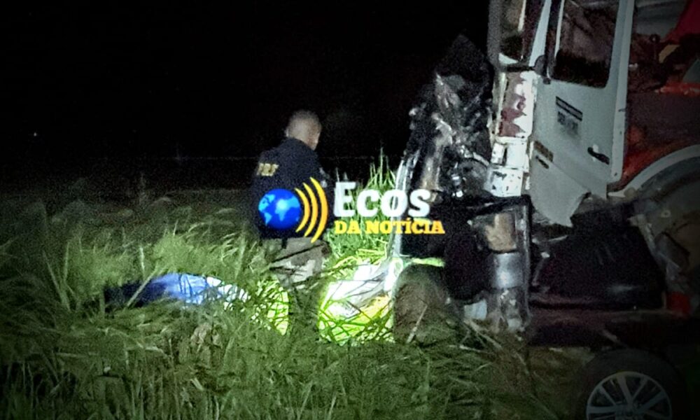 WhatsApp Image 2024-12-20 at 01.42.52