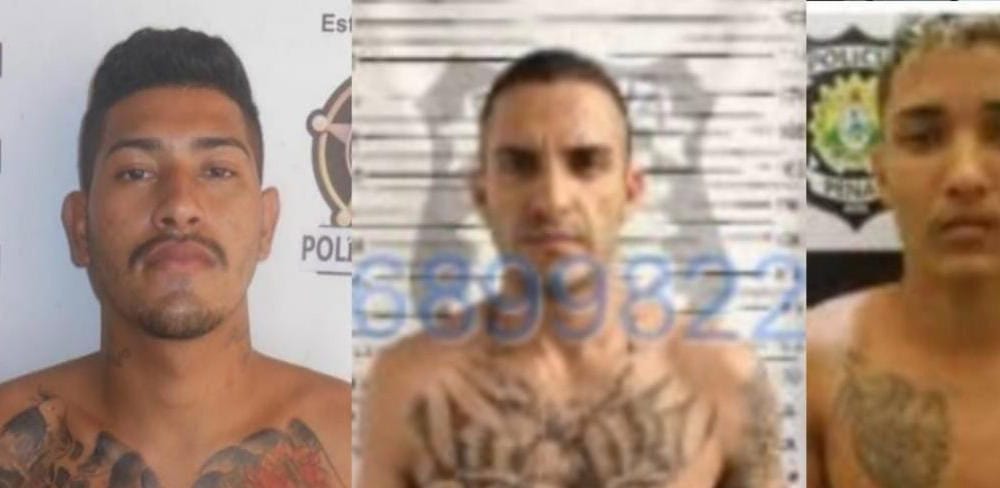 WhatsApp Image 2024-12-20 at 16.30.49 WhatsApp Image 2024-12-20 at 16.30.49