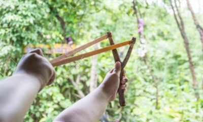 WhatsApp Image 2024-12-21 at 10.33.03