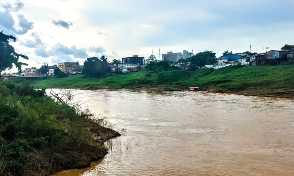 WhatsApp Image 2024-12-24 at 10.42.01 WhatsApp Image 2024-12-24 at 10.42.01