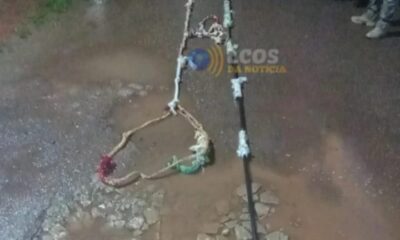 WhatsApp Image 2024-12-24 at 14.37.23 WhatsApp Image 2024-12-24 at 14.37.23