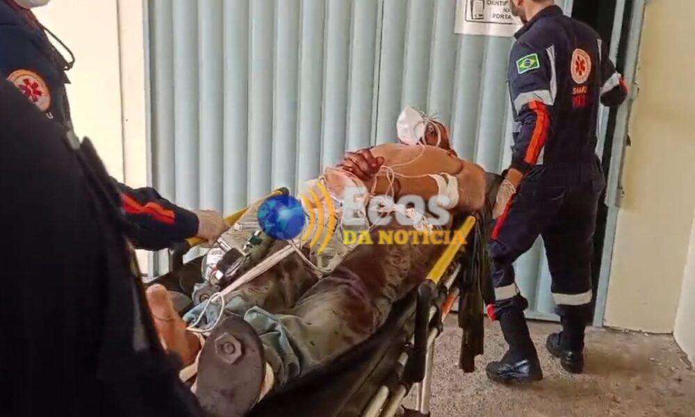 WhatsApp Image 2024-12-29 at 19.29.43 WhatsApp Image 2024-12-29 at 19.29.43