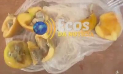 WhatsApp Image 2024-12-29 at 22.49.49 WhatsApp Image 2024-12-29 at 22.49.49