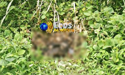 WhatsApp Image 2024-12-30 at 15.04.17 WhatsApp Image 2024-12-30 at 15.04.17