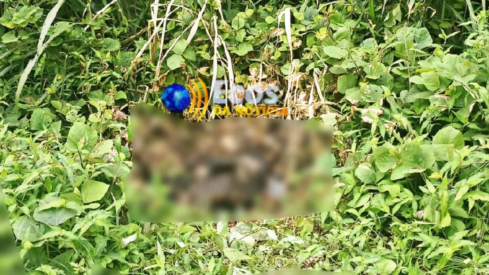 Corpo carbonizado é encontrado em área de mata em município do Acre