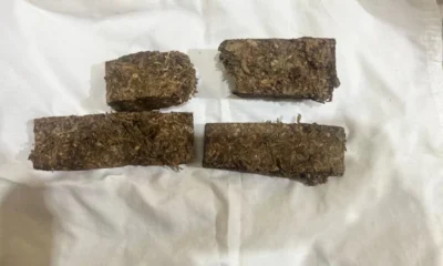 image_6483441-57-e1733337032754-1000x600